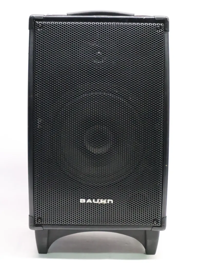 BAUHN APAS-114 Portable DJ Karaoke Bluetooth Speaker