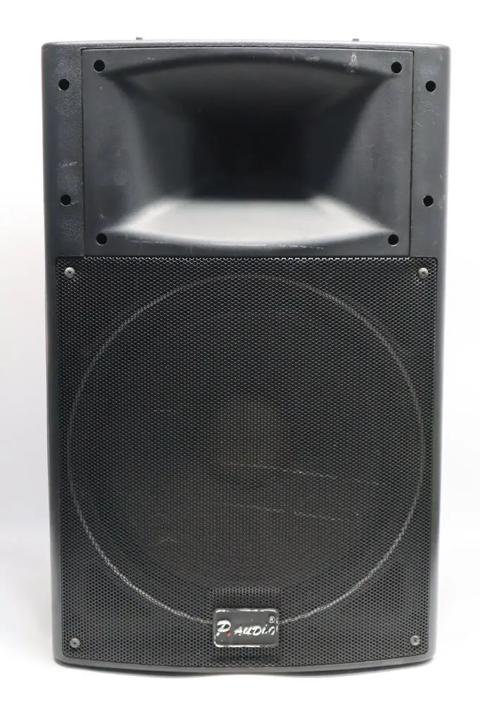 P.Audio 350 F 15 inch A-class series 300W 2 Way Passive PA Speaker