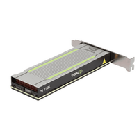 NVIDIA Tesla T4 16GB GDDR6 PCIE 3.0 x16 GPU Graphics Accelerator Card Image 0