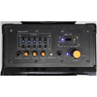BAUHN APAS-114 Portable DJ Karaoke Bluetooth Speaker Image 3