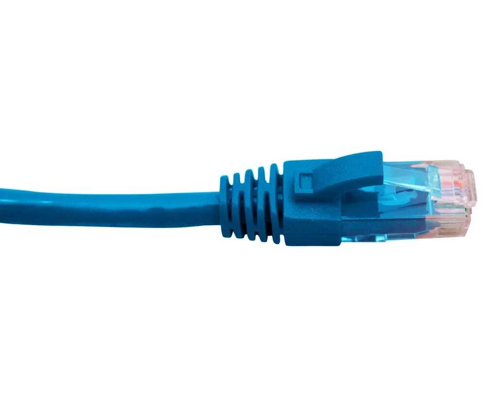 Buy Hypertec 2m Cat6 Blue RJ45 Patch Lead Ethernet Cable HCAT6BL2 | ACT