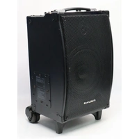 BAUHN APAS-114 Portable DJ Karaoke Bluetooth Speaker