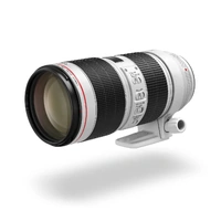 Canon EF 70-200mm f/2.8L IS III USM Camera Lens
