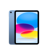 Apple iPad 11" 2025 WiFi+Cellular 128GB Blue - Good Condition