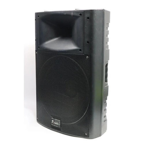 P.Audio 350 F 15 inch A-class series 300W 2 Way Passive PA Speaker